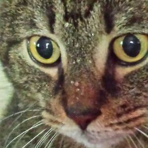 Meet your Posher, Martha